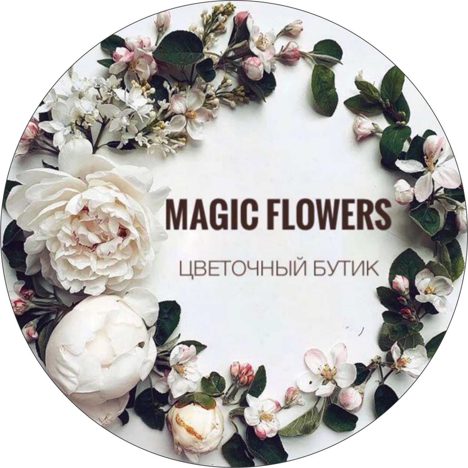 icon - /uploads/s/q/6/5/q65vpvbdincw/img/full_4S44HSI7.png